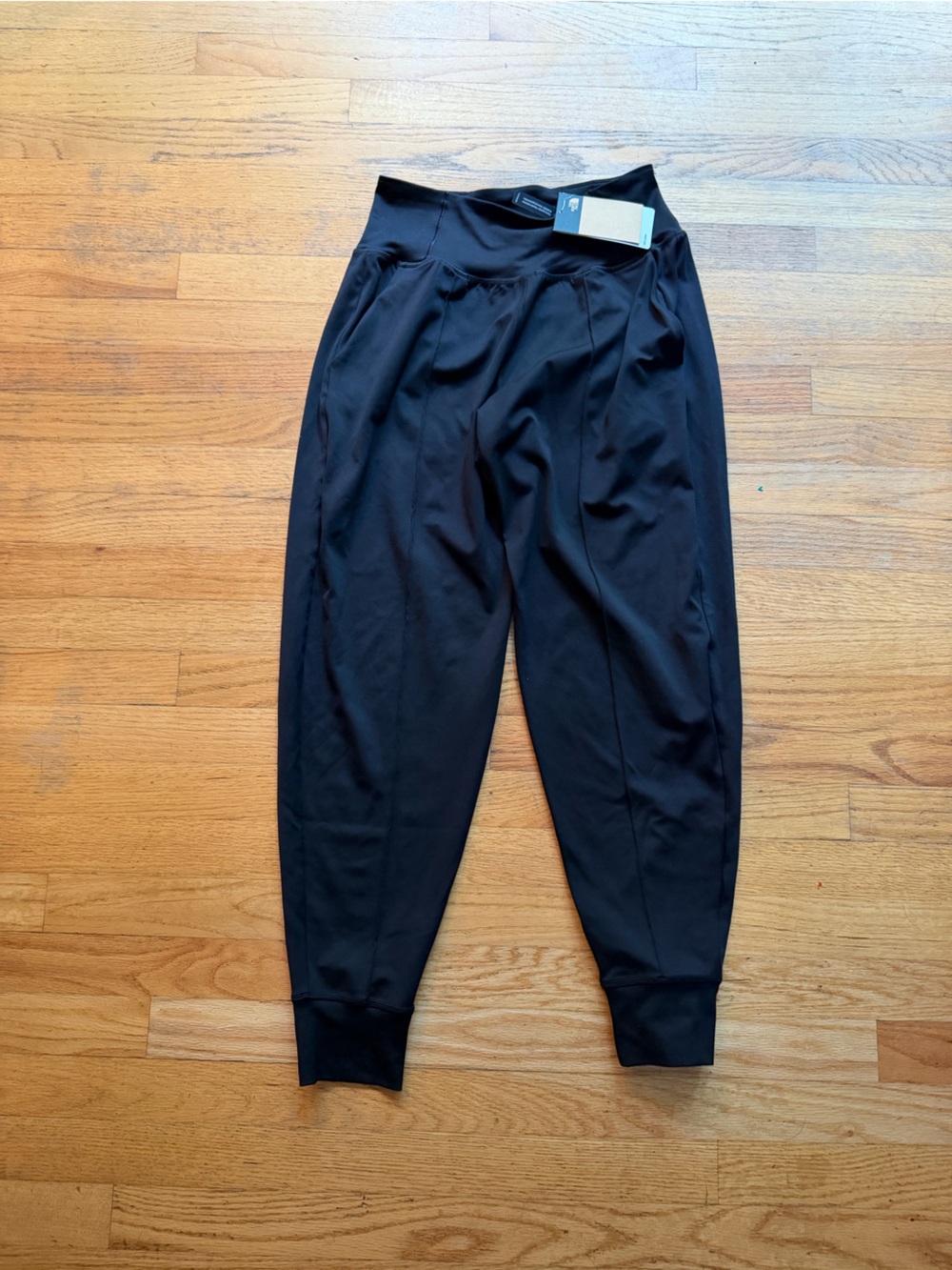 NWT The North Face joggers